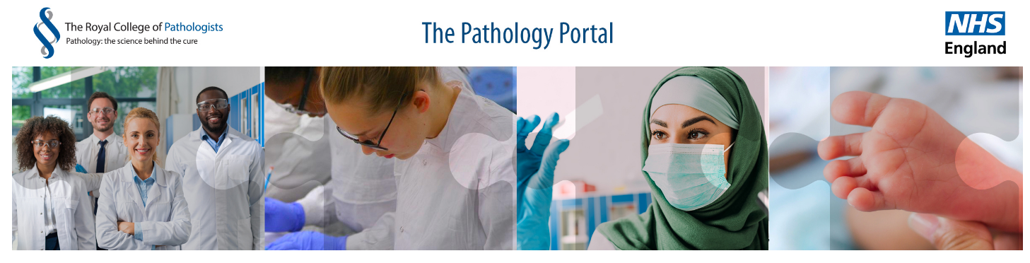 The Pathology Portal 4 x picture
